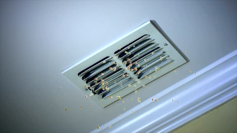 Best Best Air Duct Cleaning Company  in Sturtevant, WI