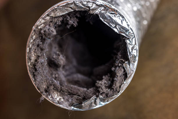 Best Affordable Air Duct Cleaning  in Sturtevant, WI