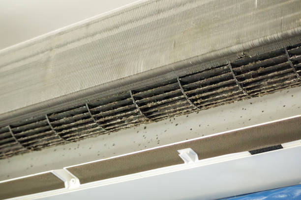 Best Ductwork Cleaning Services  in Sturtevant, WI